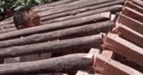 목공의 달인 - DVDPrime