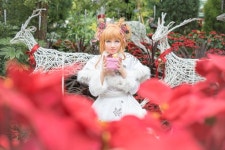 메리머치(Merry Merch) | Figures & Merch From Japan Card Captor Sakura : Merry Christmas | Anime Gallery | Tokyo Otaku Mode (TOM) Shop: Figures & Merch...