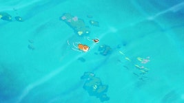 Swim – Doggie Corgi Live - Live PC HD wallpaper | Pxfuel