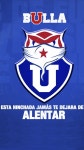 Universidad de Chile, 6565, 5656 HD phone wallpaper | Pxfuel
