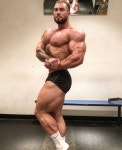 Chris Bumstead HD phone wallpaper | Pxfuel
