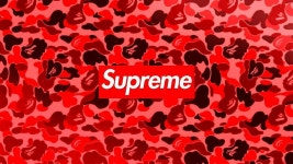 쿨 슈프림 BAPE, bape pc HD 월페이퍼 | Pxfuel