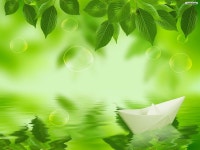 Green Leaves HD wallpaper | Pxfuel