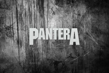 Pantera 1347 HD wallpaper | Pxfuel