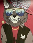 Gallery, swag cat HD phone wallpaper | Pxfuel