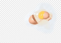 Yolk Egg Finger, Egg, broken Egg, yolk png | PNGEgg