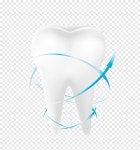 Human tooth Icon, White teeth, white, heart png | PNGEgg