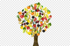Exotic fruit trees, bizarre, fruit png | PNGEgg