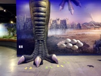 상설전시 | 자연생태박물관 | 주요시설 | 자연생태공원