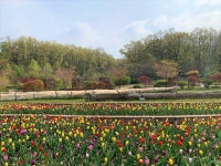 수목원의 꽃과 나무 | 부천무릉도원수목원 | 주요시설 | 자연생태공원