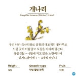 수목원의 꽃과 나무 | 부천무릉도원수목원 | 주요시설 | 자연생태공원