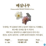 수목원의 꽃과 나무 | 부천무릉도원수목원 | 주요시설 | 자연생태공원