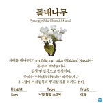 수목원의 꽃과 나무 | 부천무릉도원수목원 | 주요시설 | 자연생태공원
