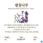 수목원의 꽃과 나무 | 부천무릉도원수목원 | 주요시설 | 자연생태공원