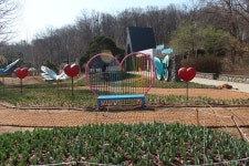 수목원의 꽃과 나무 | 부천무릉도원수목원 | 주요시설 | 자연생태공원