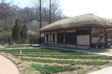 수목원의 꽃과 나무 | 부천무릉도원수목원 | 주요시설 | 자연생태공원