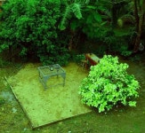 Rickys, 오렌지워크타운 - 실시간 특가 검색 및 비교