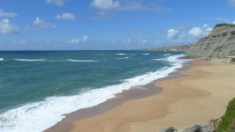 파타 다 가이보타, 로린하 - 실시간 특가 검색 및 비교