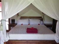 수니아 로카 방갈로, 페무테란 - 호텔 가격비교