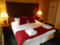 더 레드 카우 - 게스트 하우스, 런던 - 호텔 가격비교