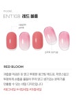 [엣지유]엣지유 샵젤 레드 블룸 붙이는 젤네일 [W CONCEPT]