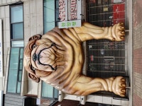 웅장한 애견 마트.jpg : 클리앙