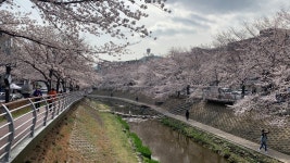 꽃. 마실. 데이트 : 클리앙