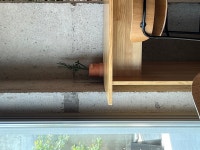 저도 스테디커피 갔다왔습니다 : 클리앙