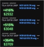 10/3 TSLA 풋 트레이드 : 클리앙