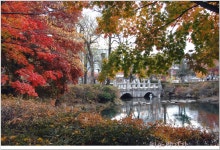 낙동강의 발원지 황지연못 : 클리앙