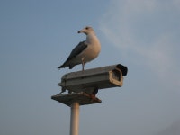 영종도 갑니다!! : 클리앙