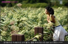 120923 명성산 힐링산행후기 : 클리앙