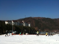 토요일 용평에서 뵌 분들 반가웠습니다.^^ : 클리앙