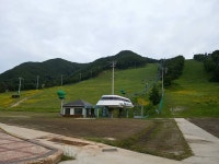 초여름의 지산리조트 입니다 : 클리앙