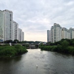 흔한 탄천 풍경 : 클리앙