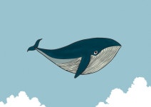 고래 난다 : 클리앙