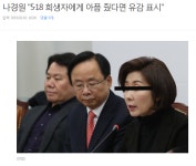 나까무라상, ㄴㄱㅆ이 518희생자에게 유감이라고? : 클리앙