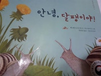 [어린이책 추천]초3도서 안녕, 달팽이야 : 클리앙
