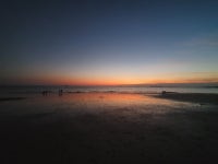 대천해수욕장의 황혼 : 클리앙