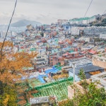 부산 초량동 : 클리앙