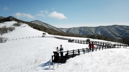 곰배령 : 클리앙