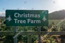 Month December Has Arrived Today People 에디토리얼 스톡 사진 - 스톡 이미지 | Shutterstock Editorial