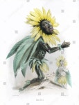 Soleil Sunflower Helianthus 1847 에디토리얼 스톡 사진 - 스톡 이미지 | Shutterstock Editorial