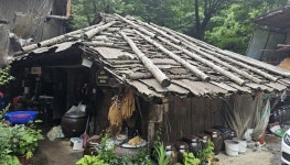 7부 21채의 강원도 산간 주거 - 대이리 굴피집