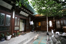 서울특별시 마포구 아현동 민속지 - 국립민속박물관 민속현장조사 서울특별시 마포구 아현동 민속지