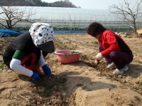 충청북도 괴산군 칠성면 율원리 민속지 - 국립민속박물관 민속현장조사 충청북도 괴산군 칠성면 율원리 민속지