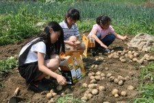 충청북도 괴산군 칠성면 율원리 민속지 - 국립민속박물관 민속현장조사 충청북도 괴산군 칠성면 율원리 민속지