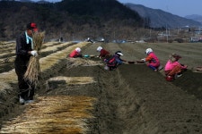 충청북도 괴산군 칠성면 율원리 민속지 - 국립민속박물관 민속현장조사 충청북도 괴산군 칠성면 율원리 민속지
