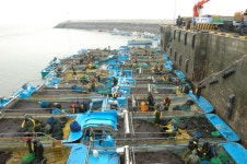 충청남도 서천군 서면 월호리 월하성마을 민속지 - 국립민속박물관 민속현장조사 충청남도 서천군 서면 월호리 월하성마을 민속지