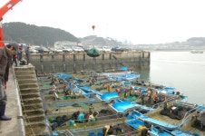 충청남도 서천군 서면 월호리 월하성마을 민속지 - 국립민속박물관 민속현장조사 충청남도 서천군 서면 월호리 월하성마을 민속지